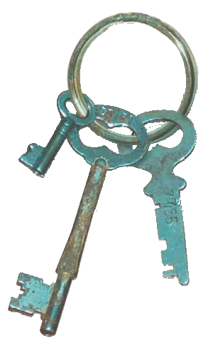 CulturalKeys logo symbol